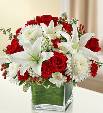 Healing Tears - Red & White | FNR-128