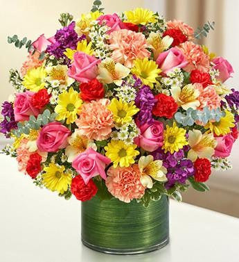 Cherished Memories - Multicolor | FNBR-118
