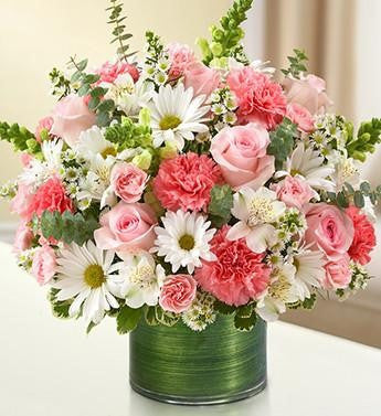 Cherished Memories - Pink & White | FNWP