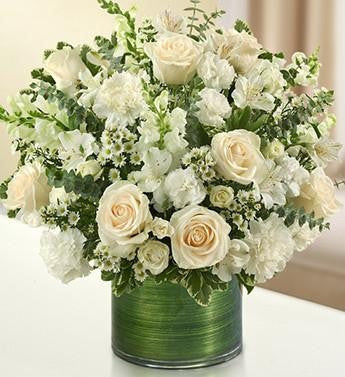 Cherished Memories - White | FNW-120