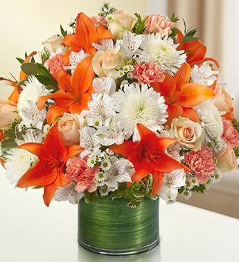 Cherished Memories – Peach, Orange & White | FNPC-109