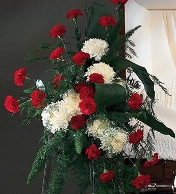 Easel Spray Carnations and Mums
