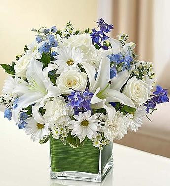 Healing Tears - Blue & White | 95408