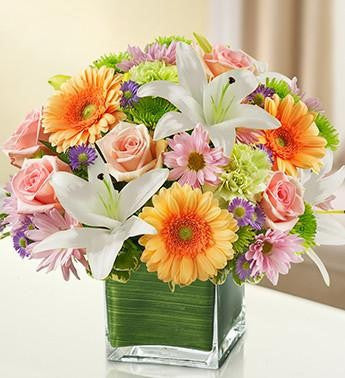 Healing Tears - Pastel | PFN-117