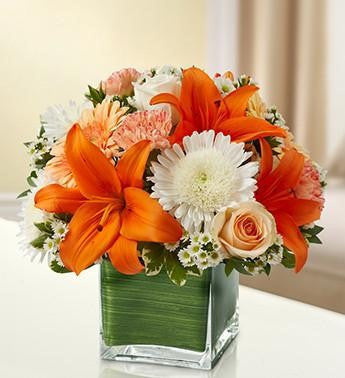 Healing Tears - Peach - Orange & White | FNPC-110
