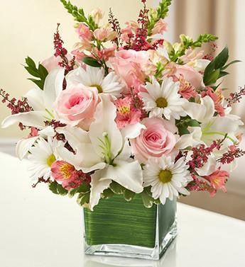 Healing Tears - Pink & White | FNWP-130