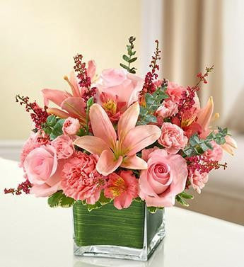 Healing Tears - Pink | FNWP-135