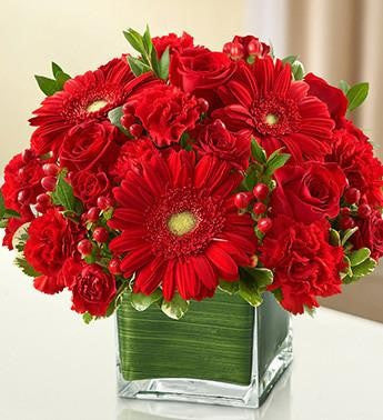 Healing Tears - Red | FNR-132