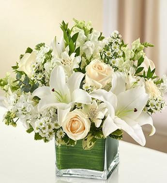 Healing Tears - White | FNW-115