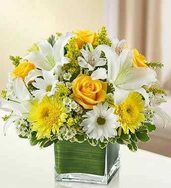 Healing Tears - Yellow & White | FNY-117