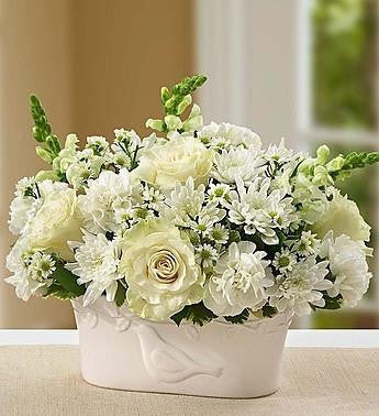 Peace and Healing™ White
