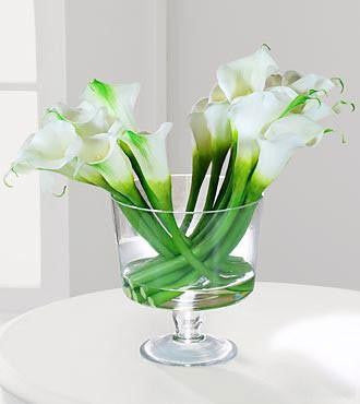 Silk Botanicals Calla Lilies