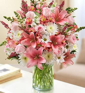 Sincerest Sorrow - Pink & White | FNWP-134