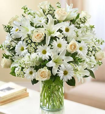 Sincerest Sorrow - White | FNW-116