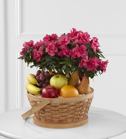 The FTD Encircling Grace Fruit & Plant (S56-4573)
