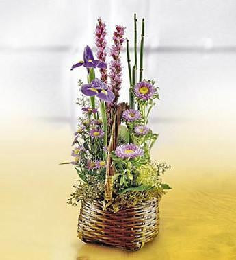 The FTD Sweet Peace Basket